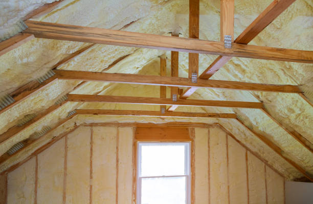 Best Insulation Maintenance and Repair in Porterdale, GA
