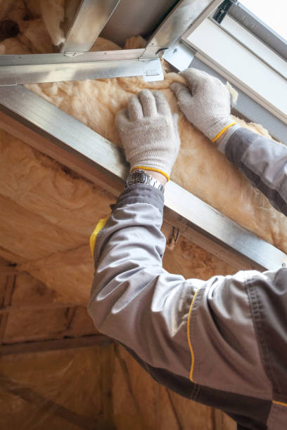 Best Eco-Friendly Insulation in Porterdale, GA
