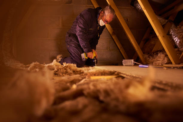 Best Cellulose Insulation in Porterdale, GA